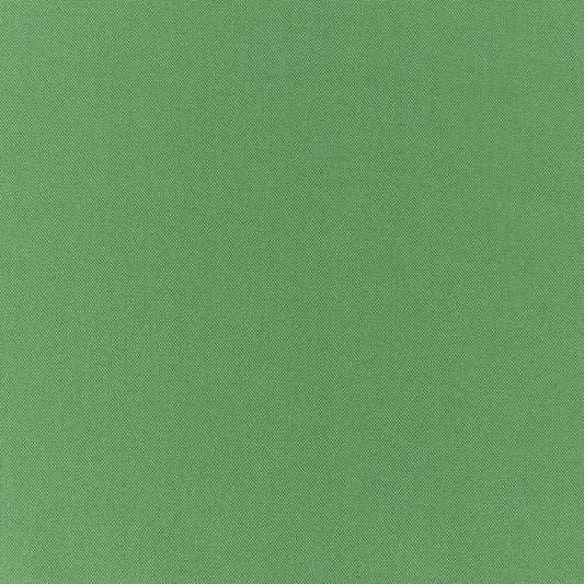 Prestigious Textiles Style Cactus