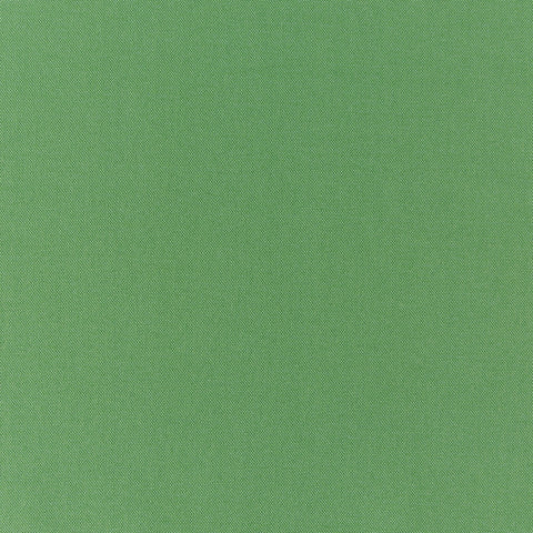 Prestigious Textiles Style Cactus