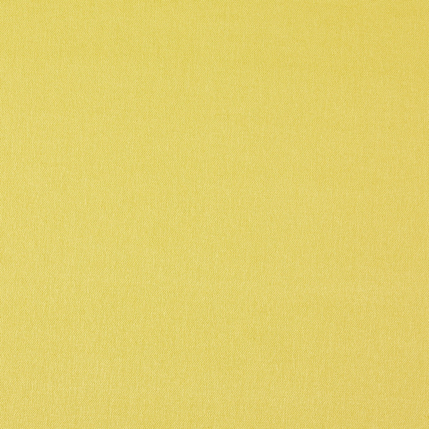 Prestigious Textiles Style Citrus