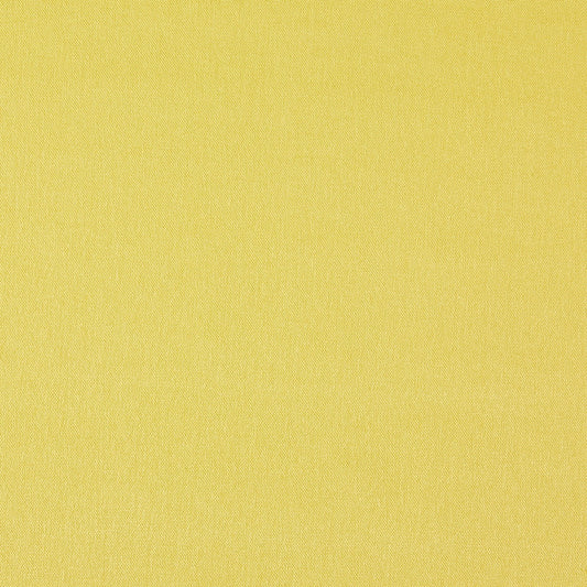 Prestigious Textiles Style Citrus