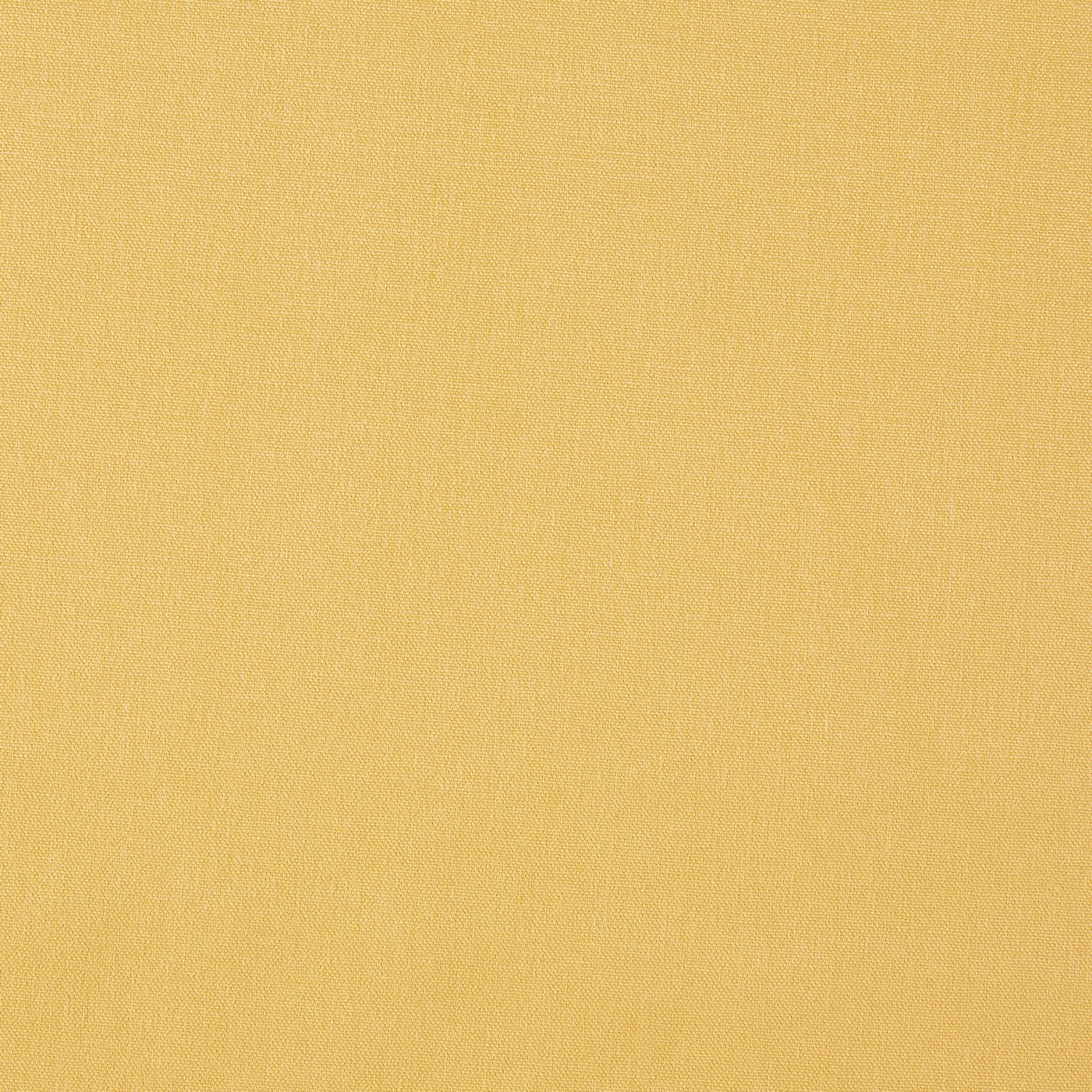 Prestigious Textiles Style Lemon Drop