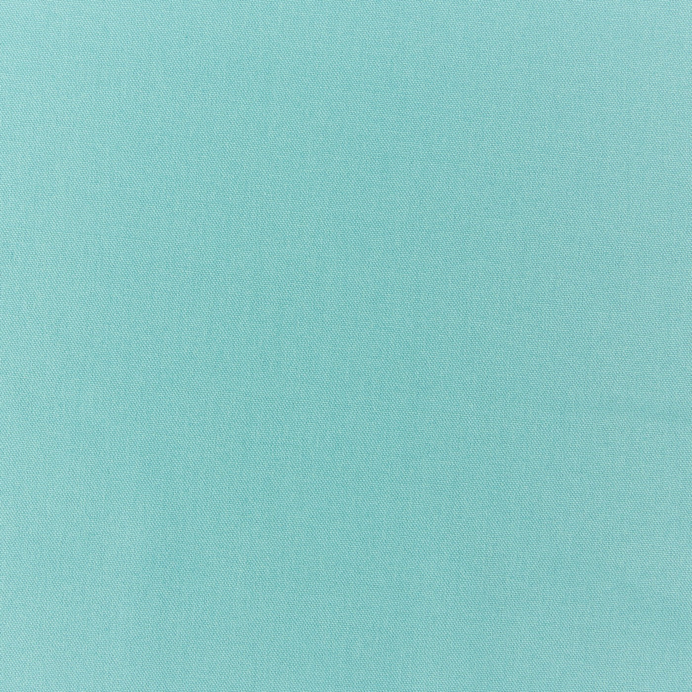 Prestigious Textiles Style Aqua