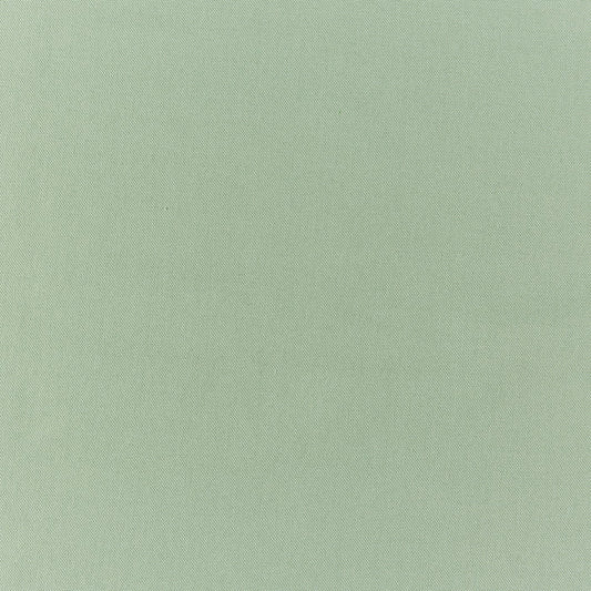 Prestigious Textiles Style Green Tea