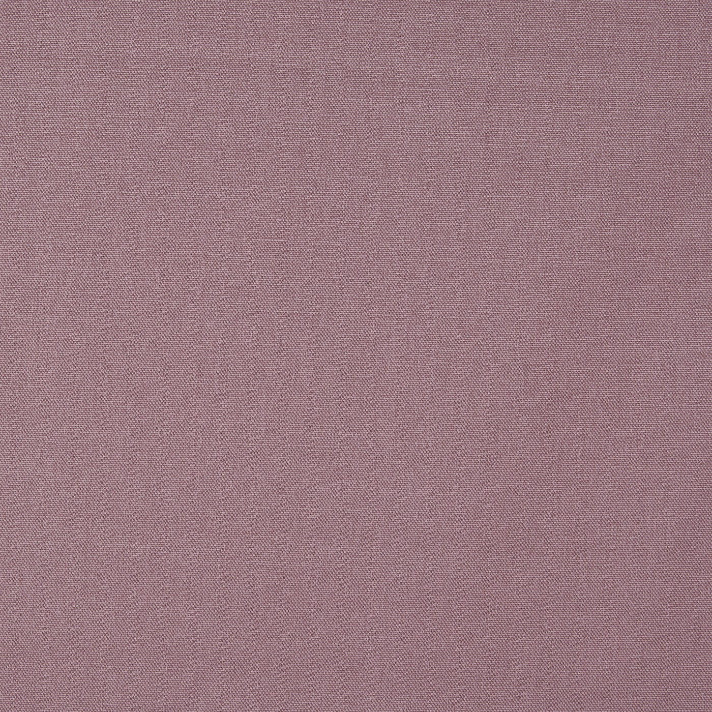 Prestigious Textiles Style Lavender