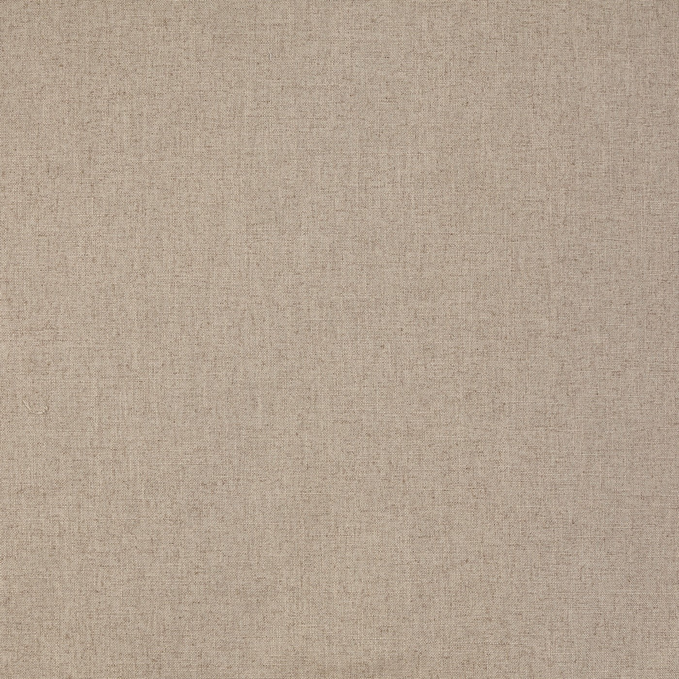 Prestigious Textiles Capri Latte