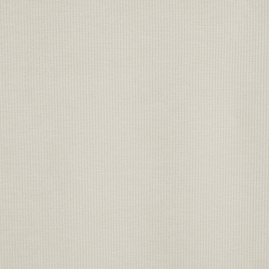 Prestigious Textiles Cord Snow