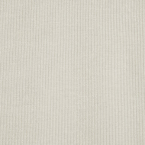 Prestigious Textiles Cord Snow
