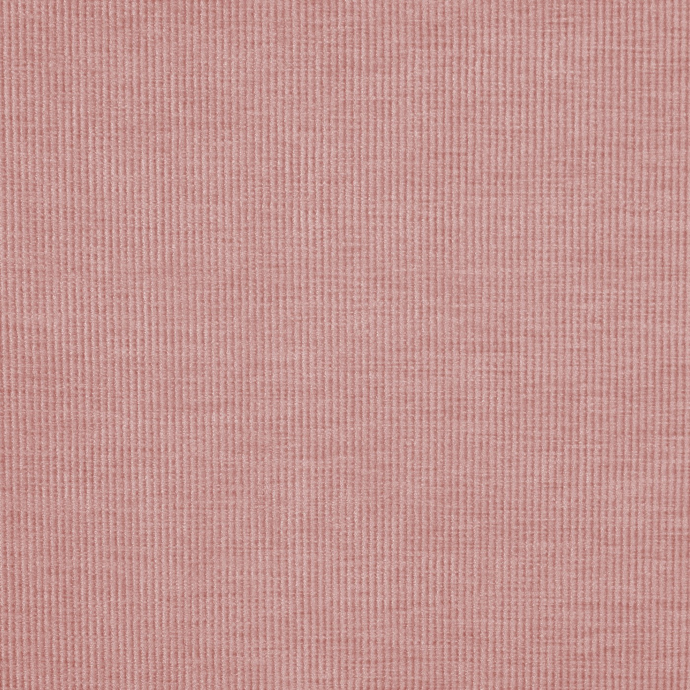 Prestigious Textiles Cord Petal