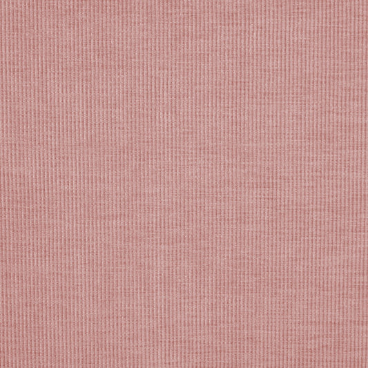 Prestigious Textiles Cord Petal