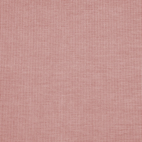 Prestigious Textiles Cord Petal