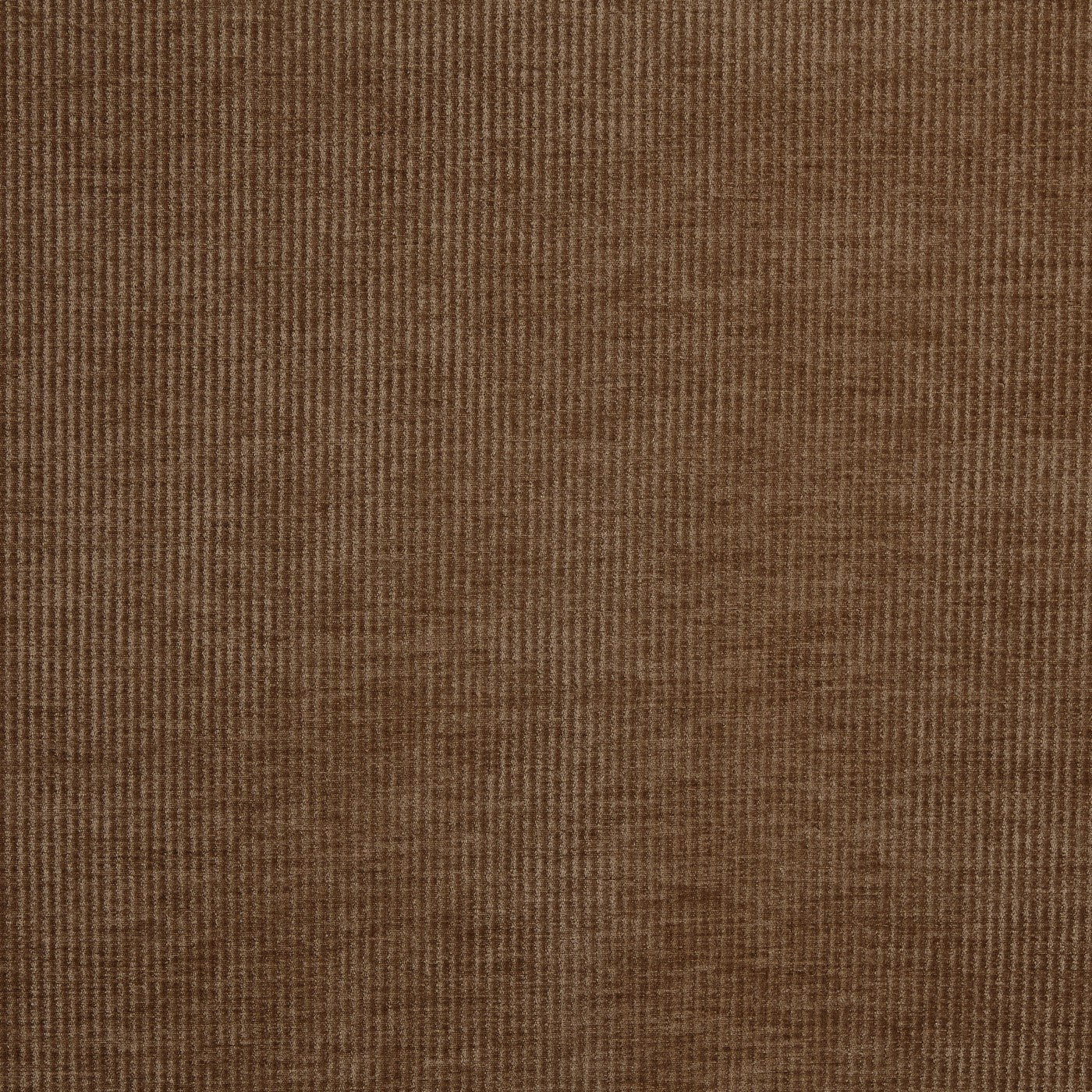Prestigious Textiles Cord Hazel