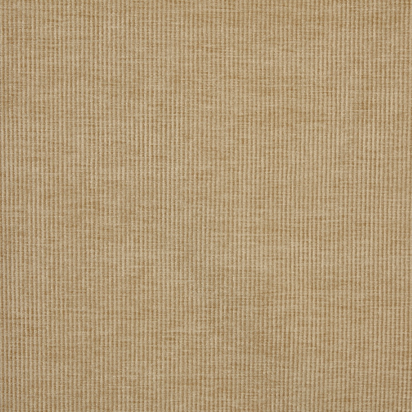 Prestigious Textiles Cord Pampas