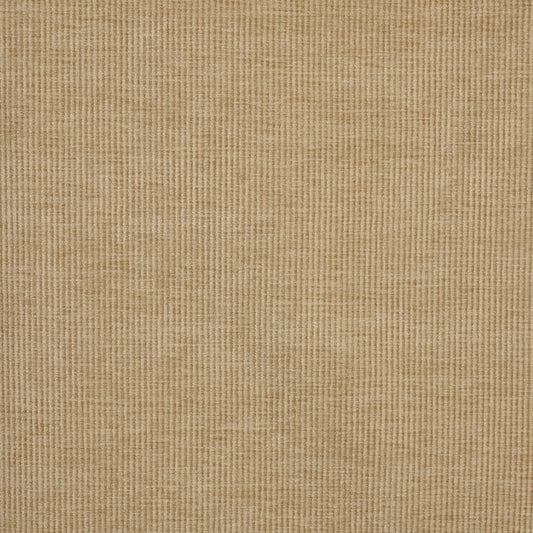 Prestigious Textiles Cord Pampas