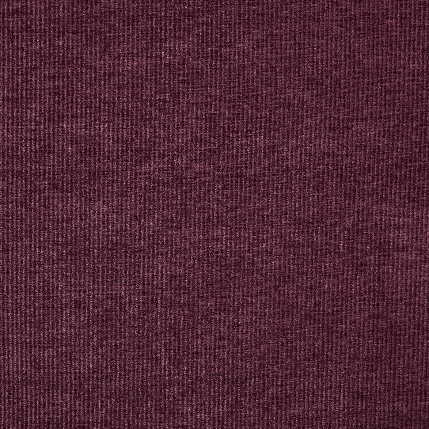 Prestigious Textiles Cord Plum