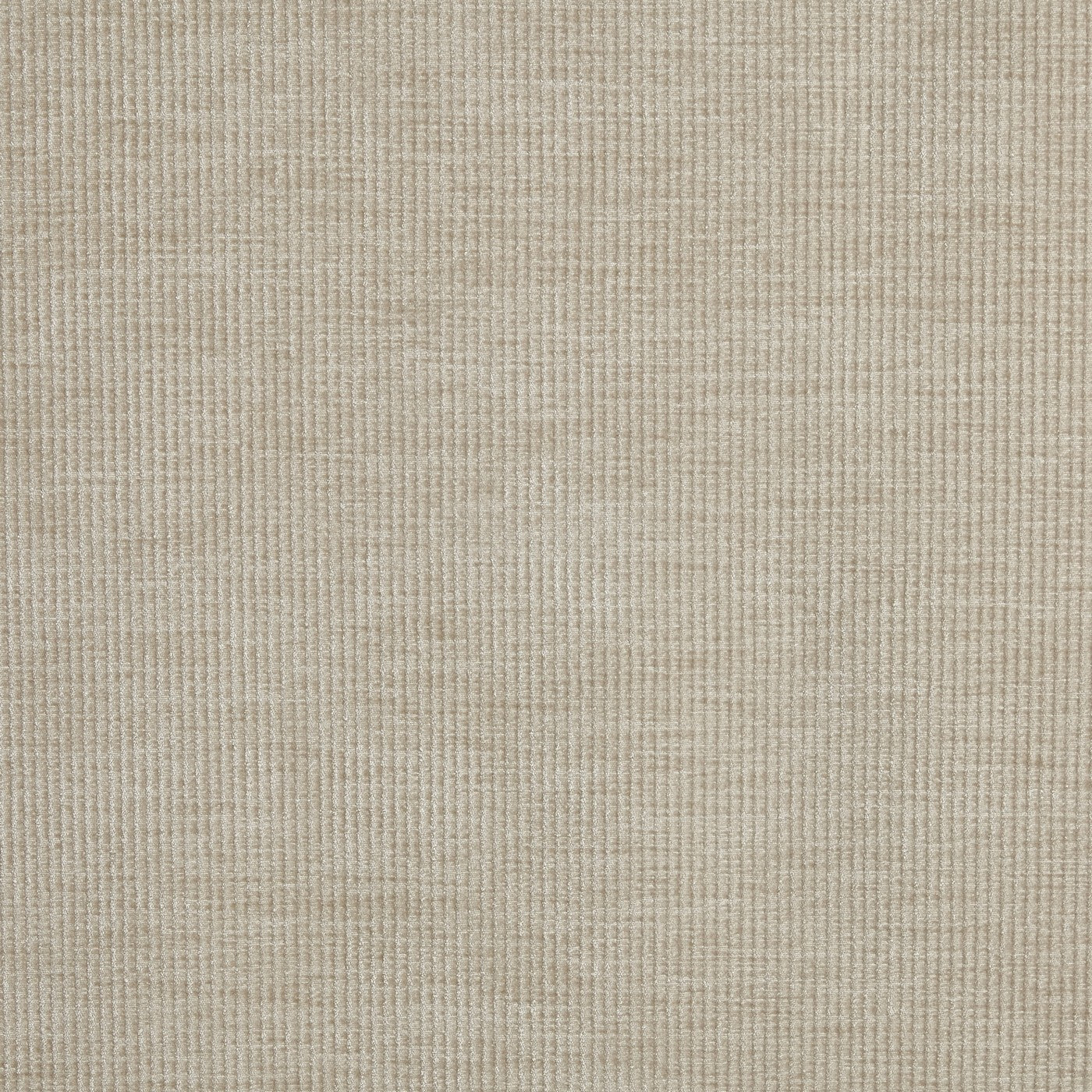 Prestigious Textiles Cord Mushroom