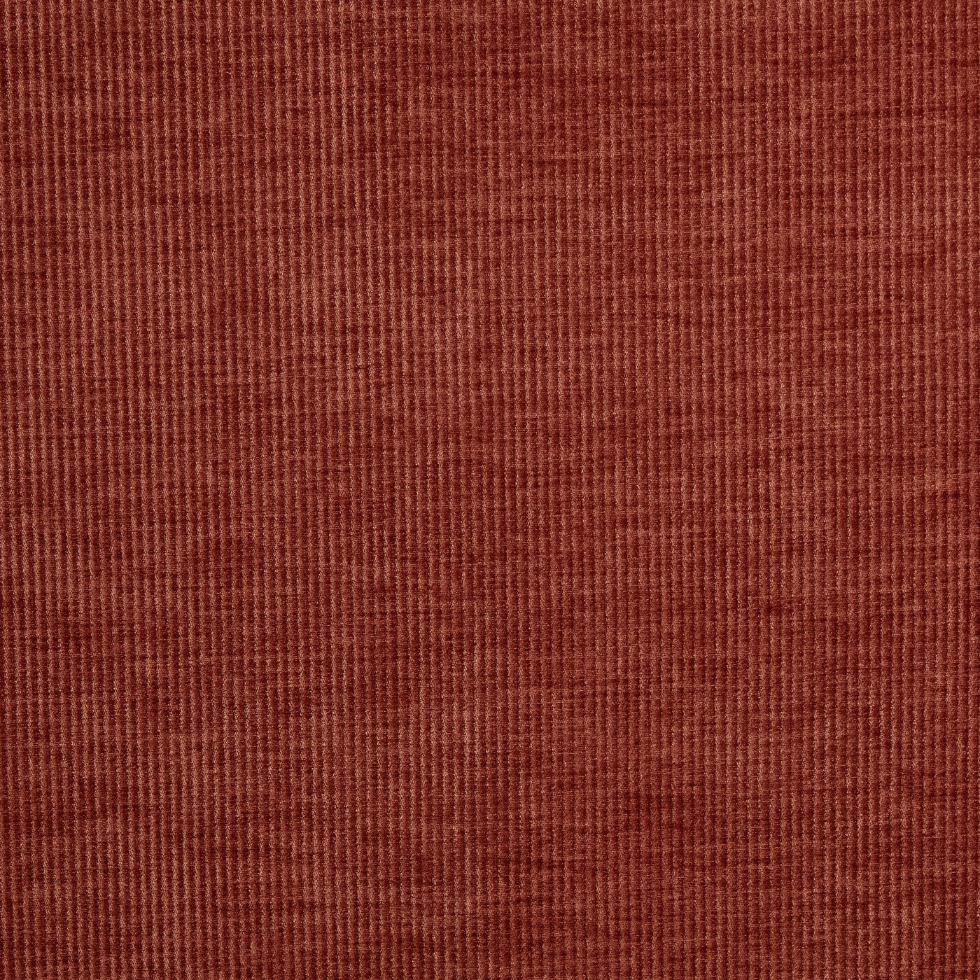 Prestigious Textiles Cord Spice