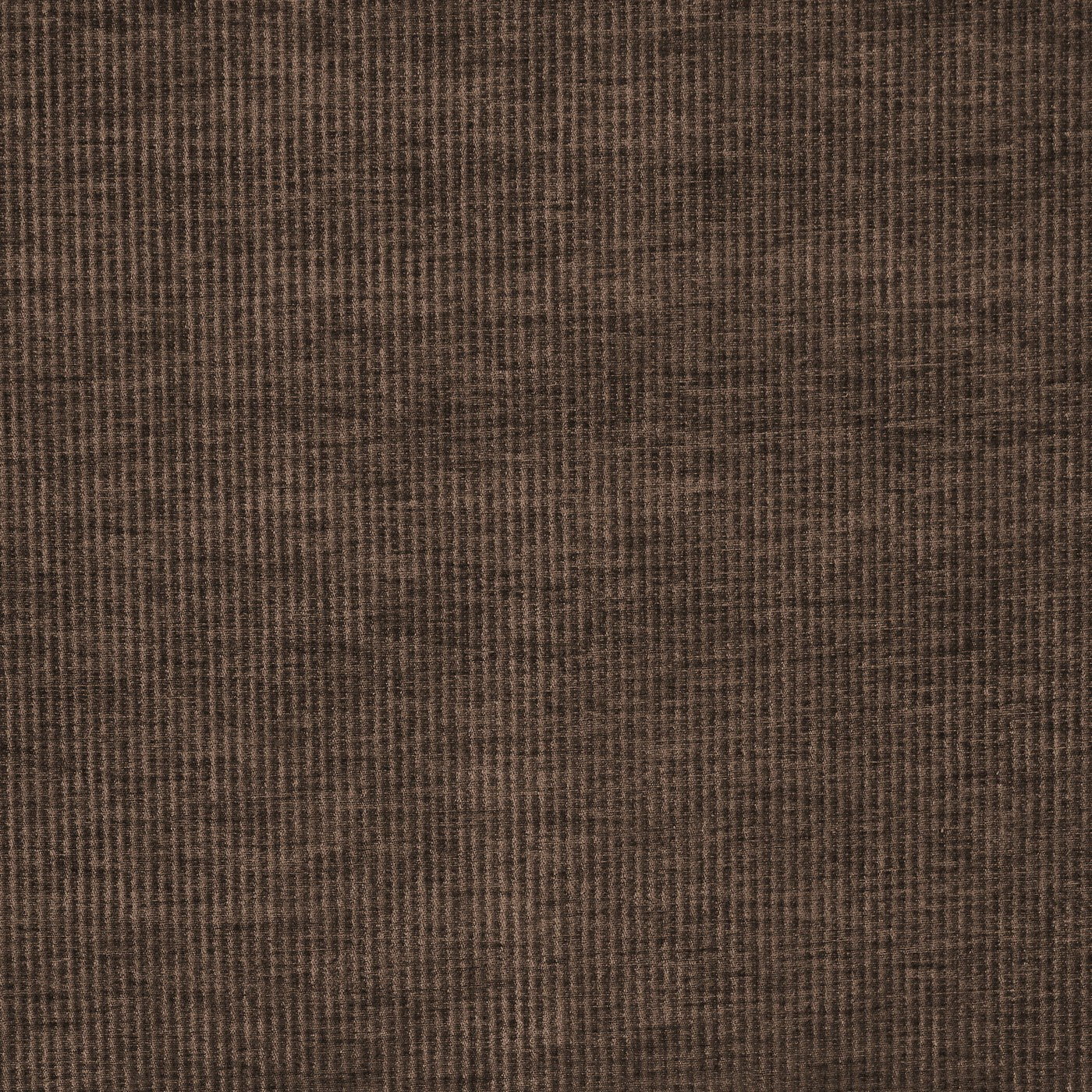 Prestigious Textiles Cord Cocoa