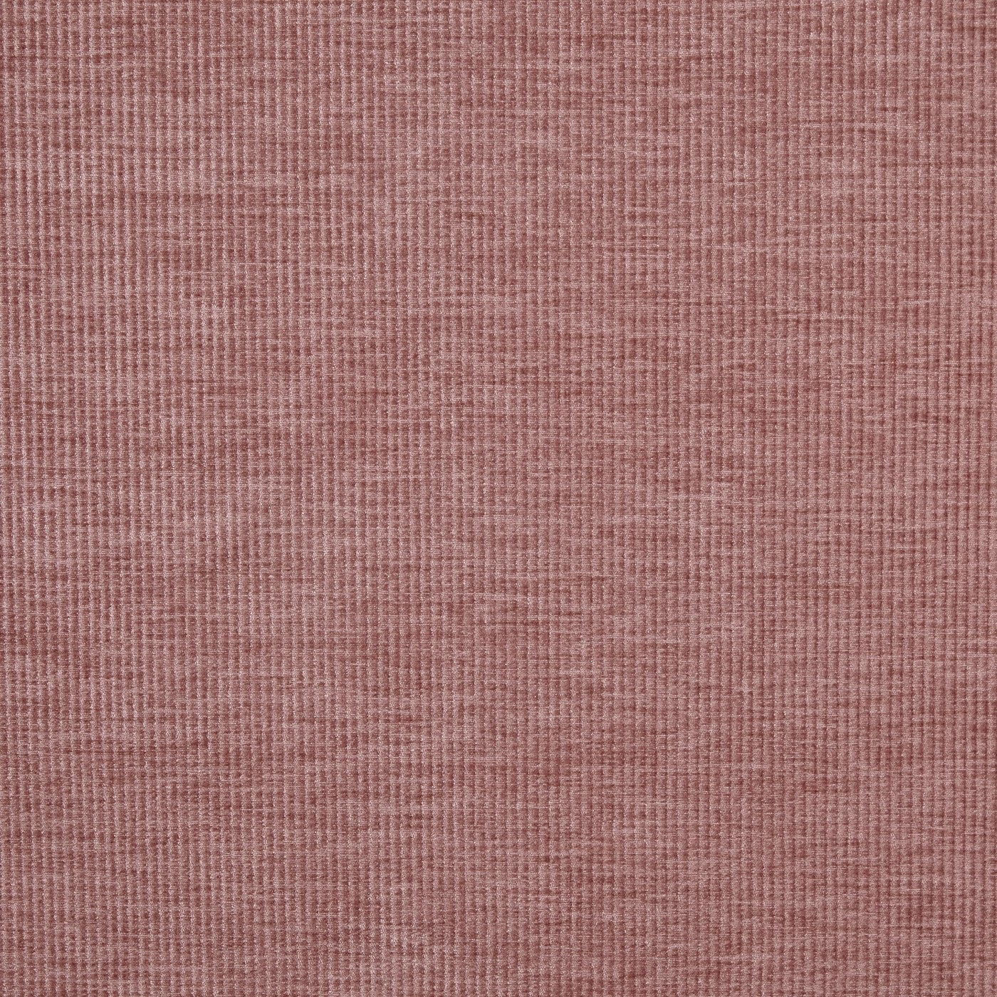 Prestigious Textiles Cord Woodrose