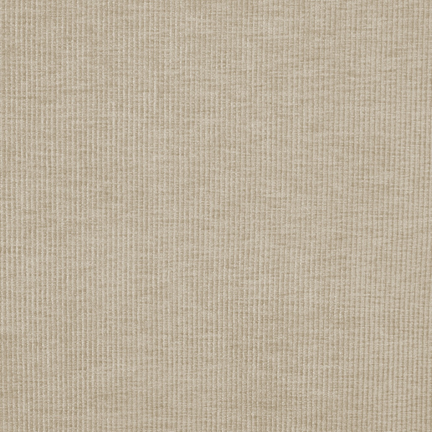 Prestigious Textiles Cord Sand