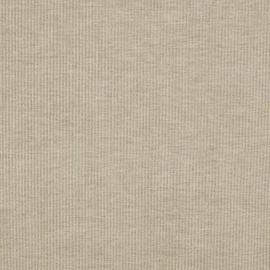 Prestigious Textiles Cord Sand