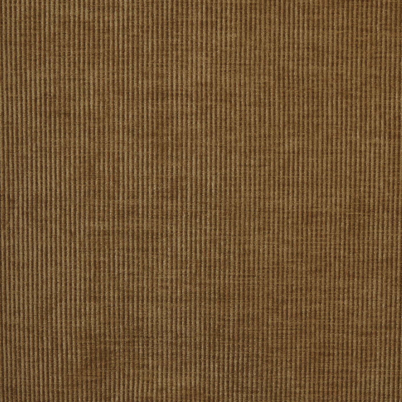 Prestigious Textiles Cord Mustard
