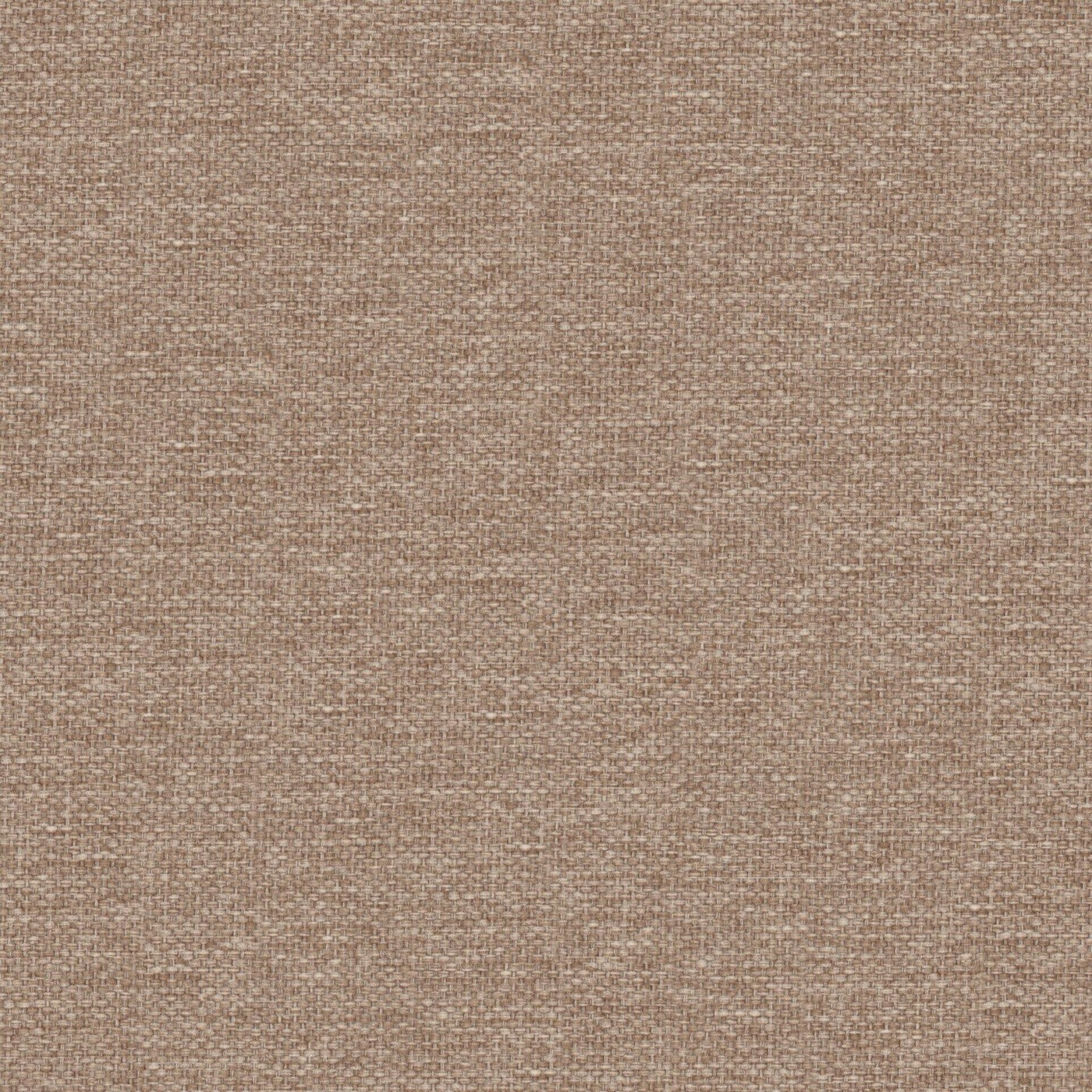 Prestigious Textiles Dawson Almond