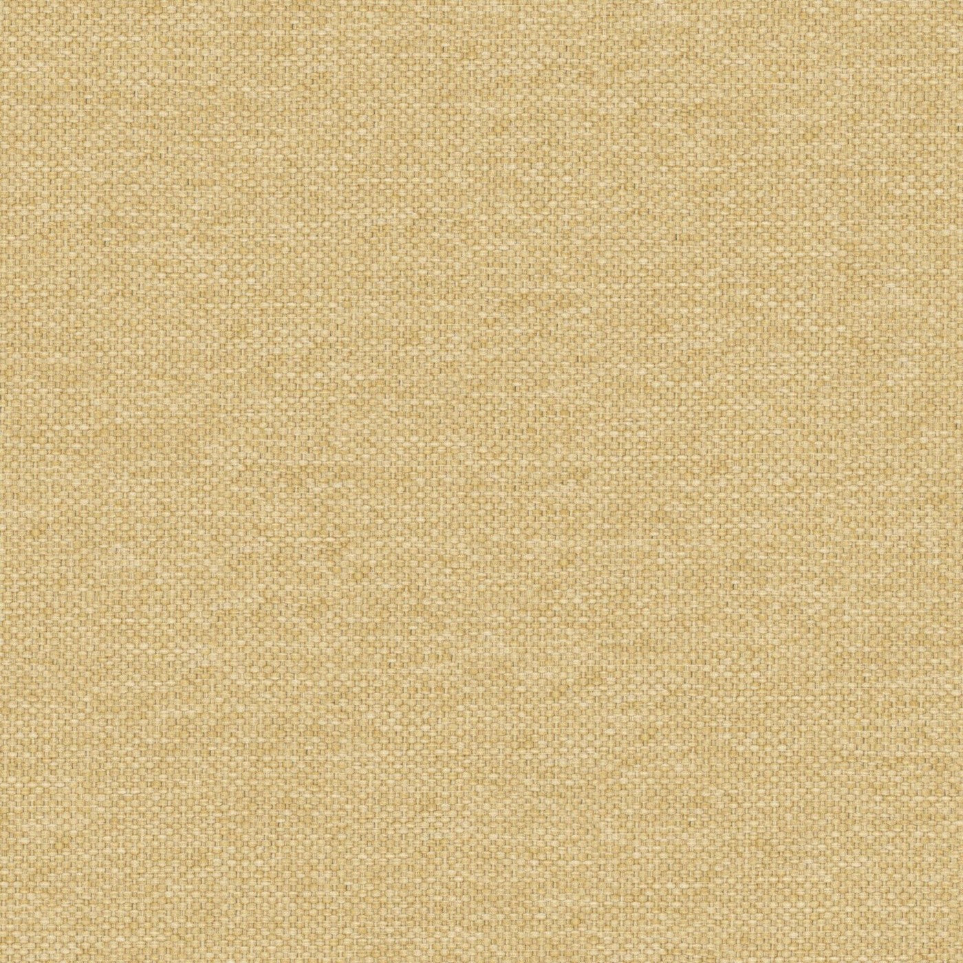 Prestigious Textiles Dawson Harvest