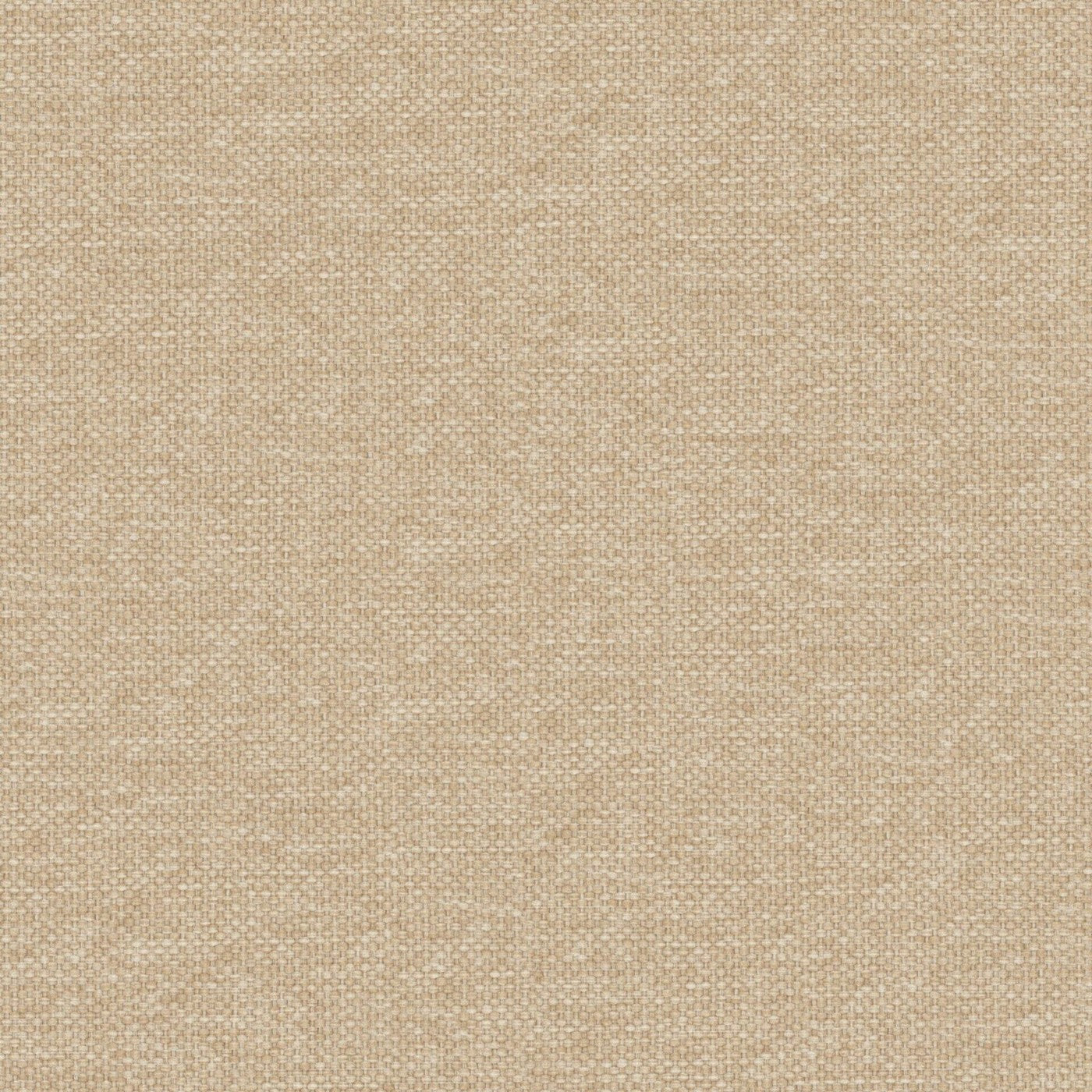 Prestigious Textiles Dawson Bark