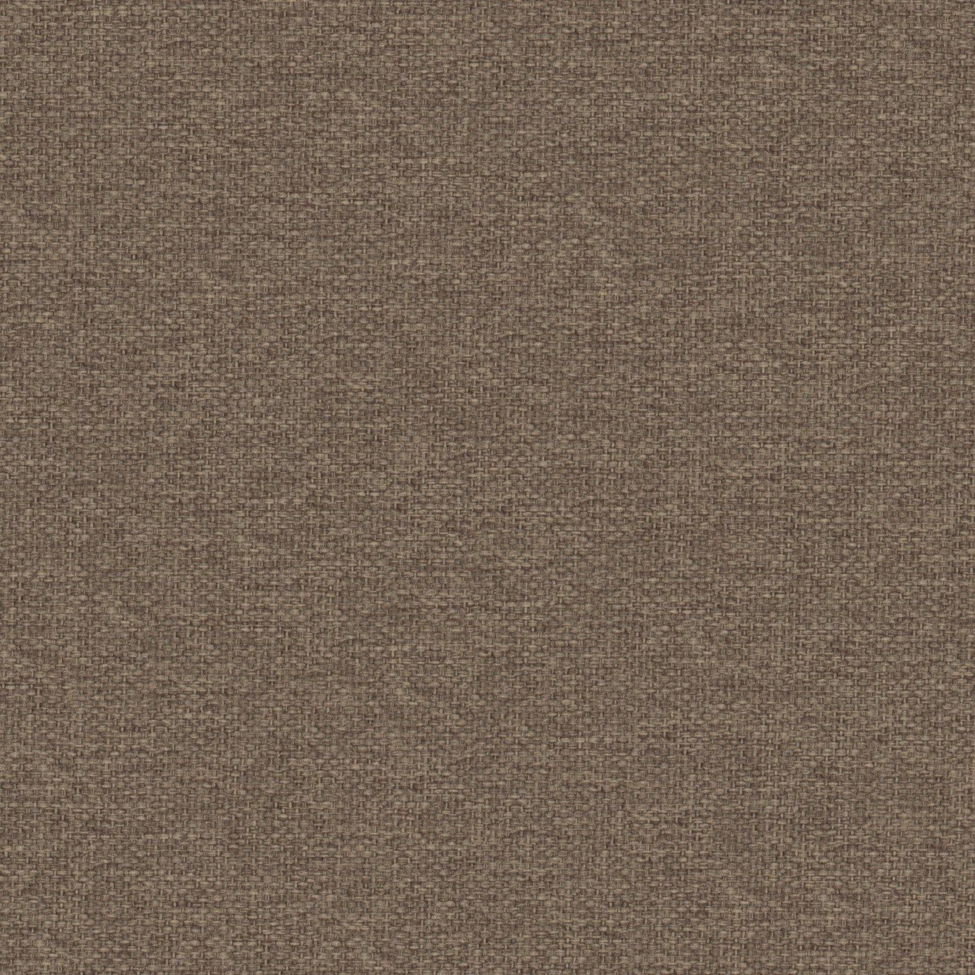 Prestigious Textiles Dawson Pinecone