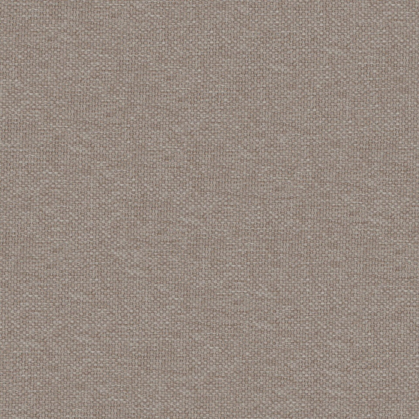 Prestigious Textiles Dawson Truffle