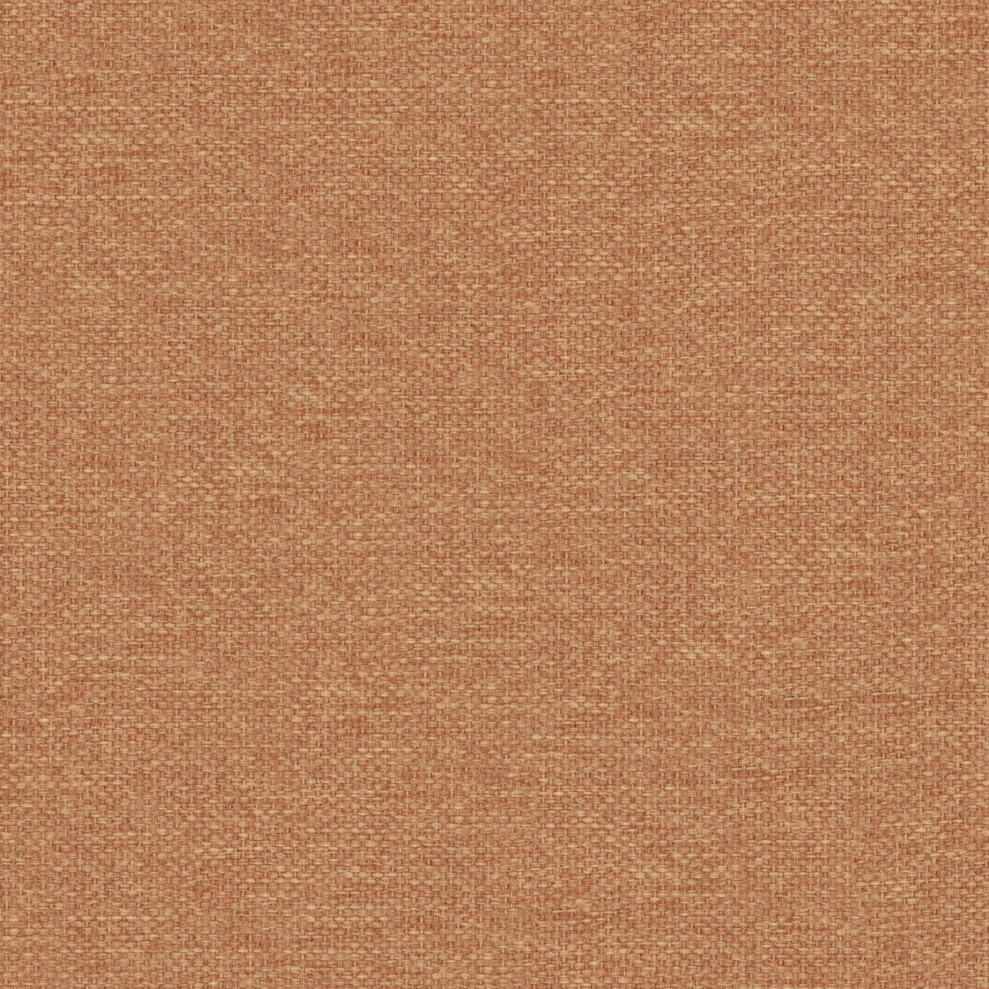 Prestigious Textiles Dawson Amber
