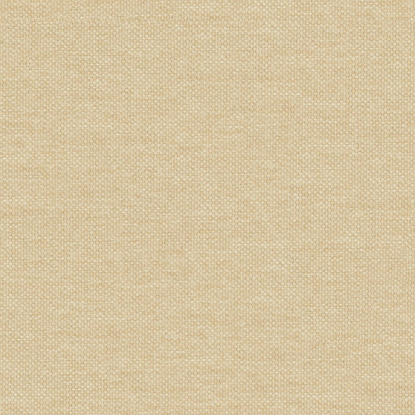 Prestigious Textiles Dawson Straw