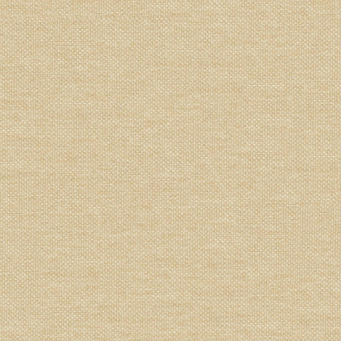 Prestigious Textiles Dawson Straw
