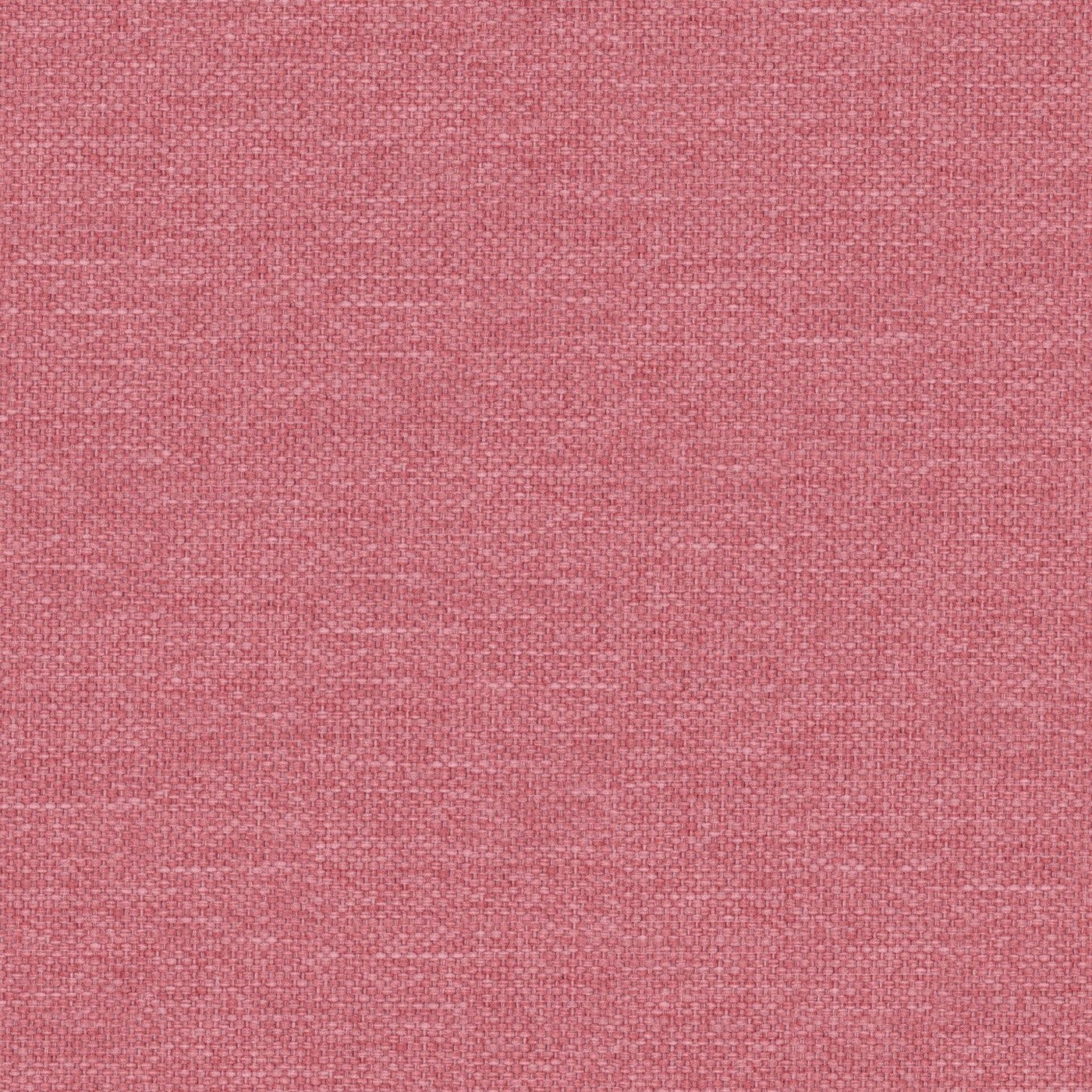 Prestigious Textiles Dawson Peony