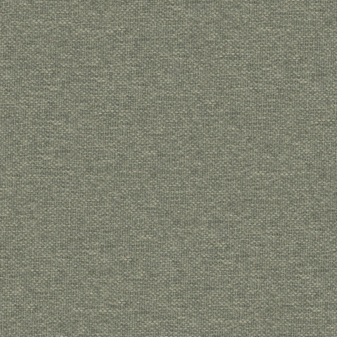 Prestigious Textiles Dawson Grass