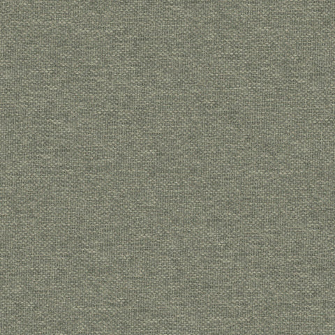 Prestigious Textiles Dawson Grass