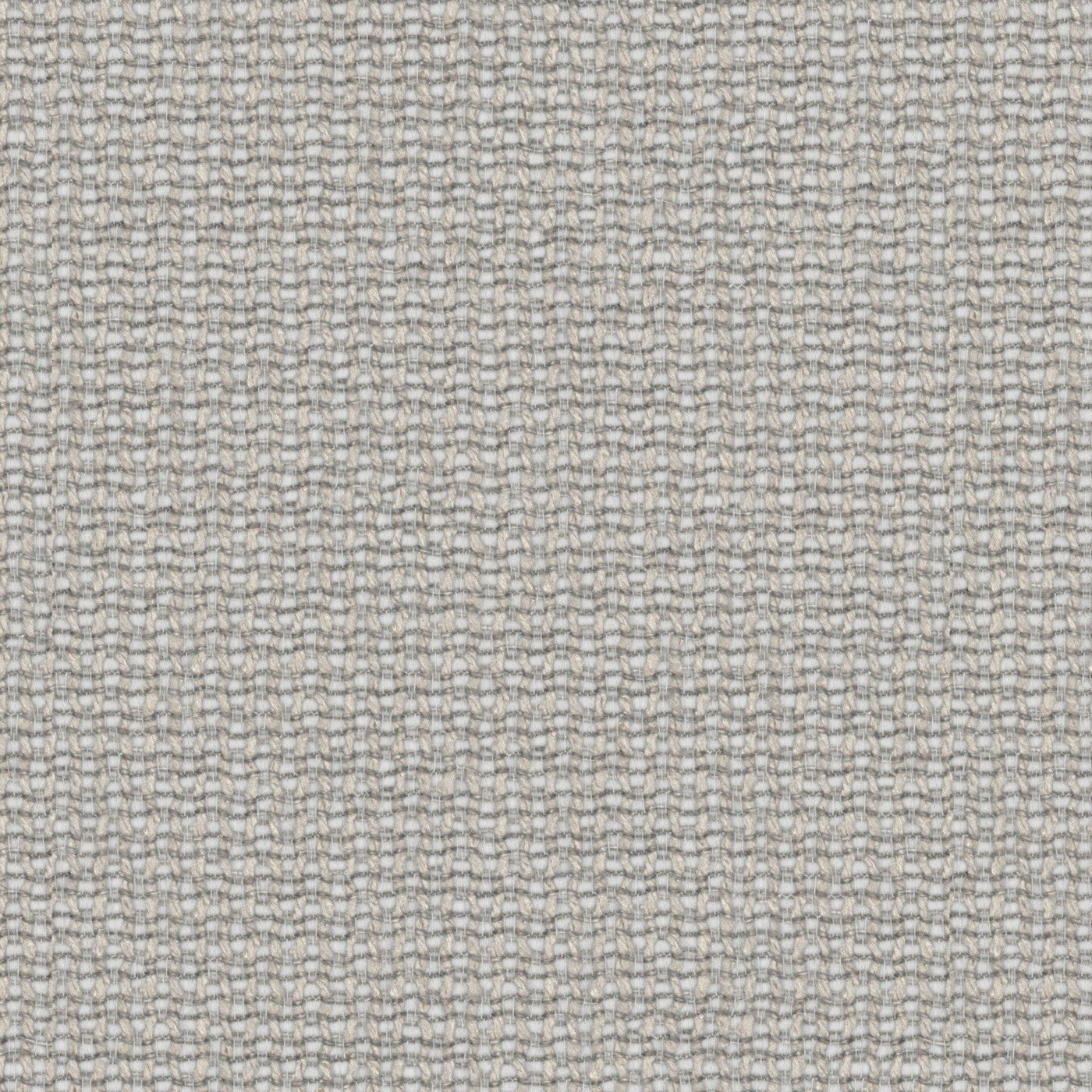 Prestigious Textiles Camana Shadow