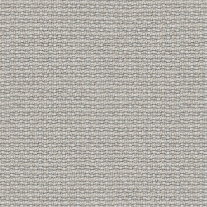 Prestigious Textiles Camana Shadow