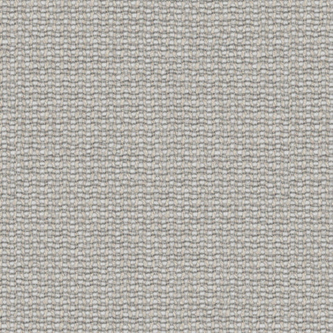 Prestigious Textiles Camana Shadow