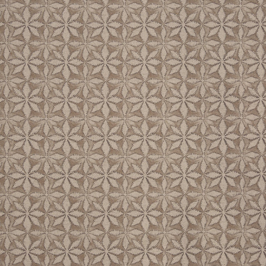 Prestigious Textiles Haddon Nutmeg