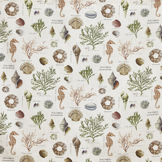 Prestigious Textiles St Helier Sea Weed