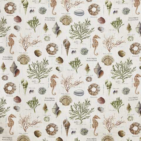 Prestigious Textiles St Helier Sea Weed