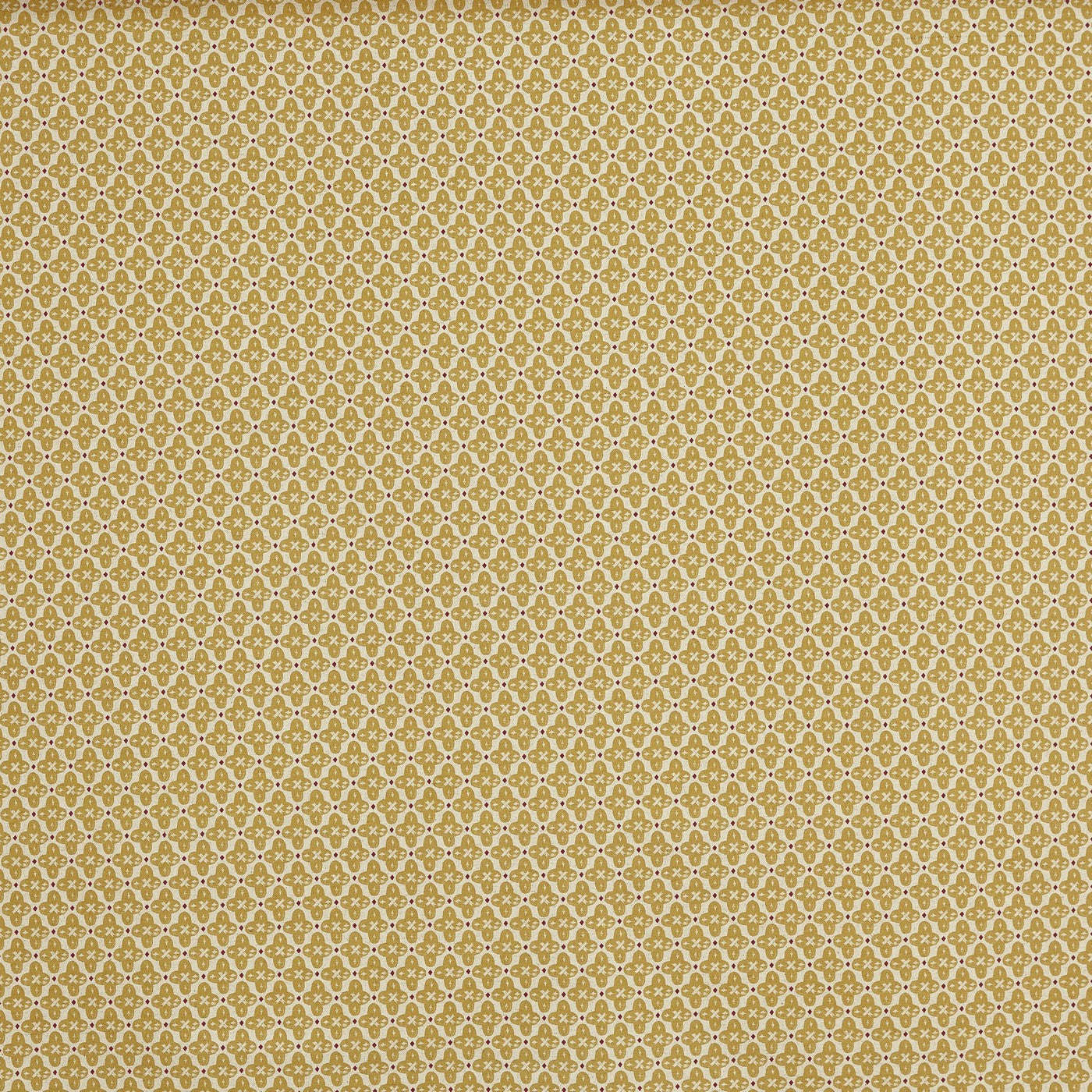 Prestigious Textiles Billy Honey