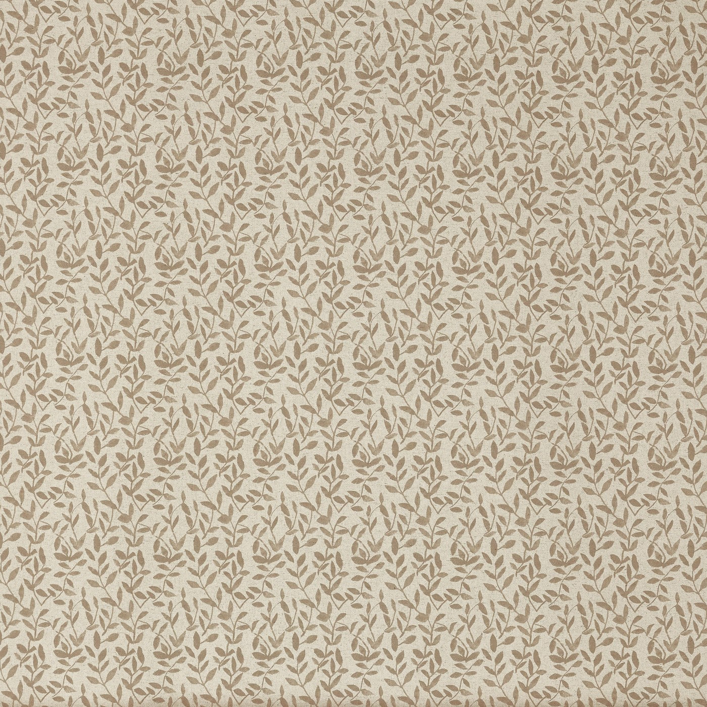 Prestigious Textiles Delilah Bear