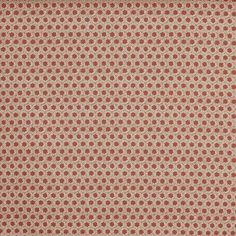 Prestigious Textiles Dory Pumpkin