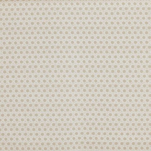 Prestigious Textiles Mary Canvas