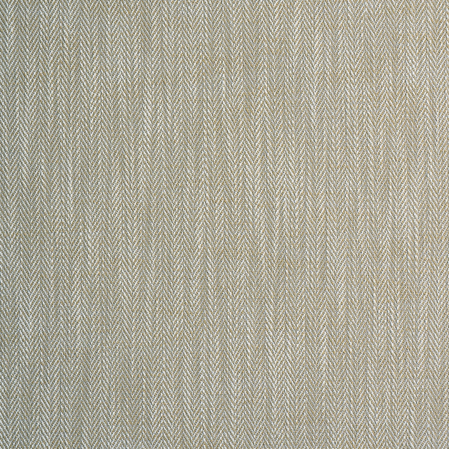 Ashley Wilde Aubrey Maize