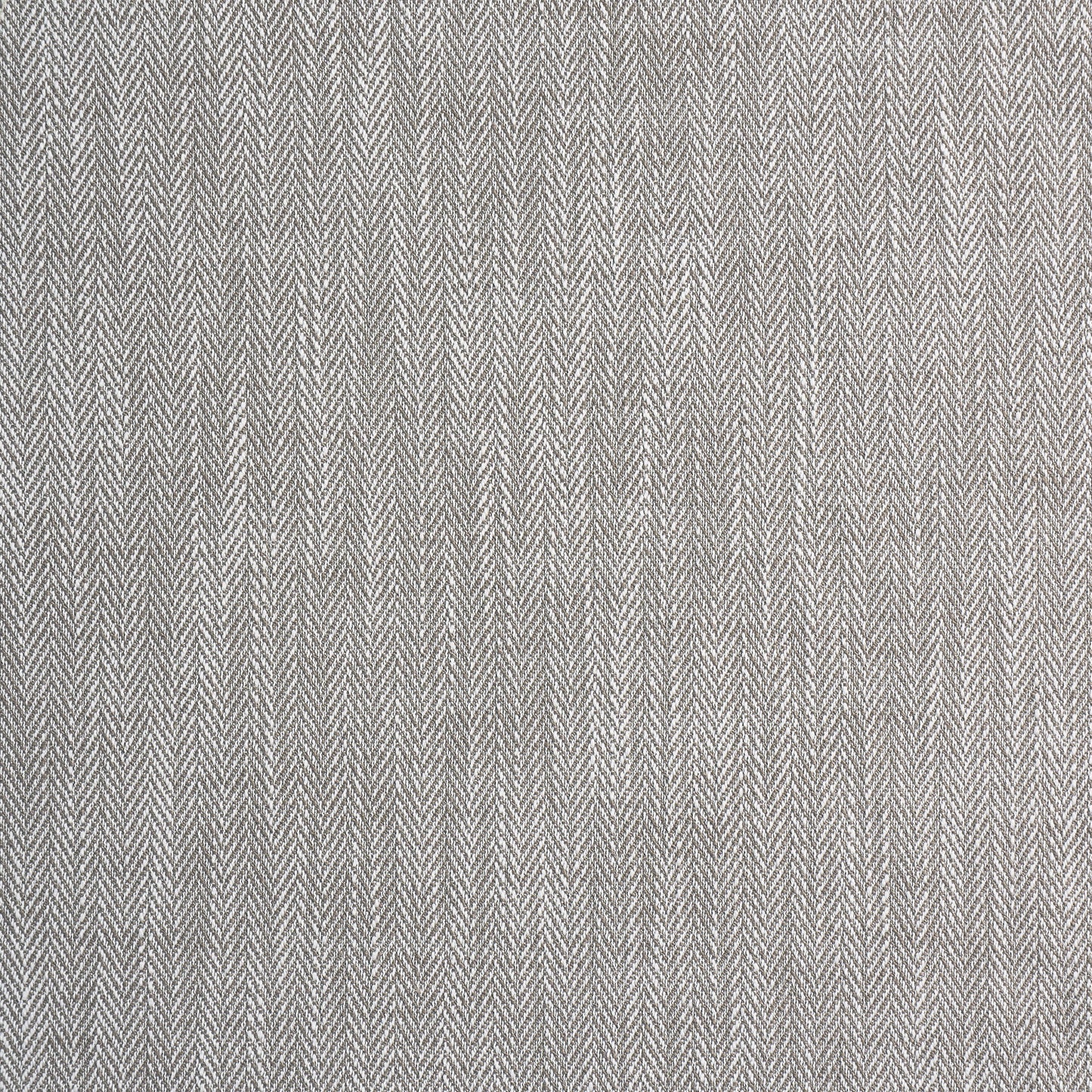 Ashley Wilde Aubrey Mushroom