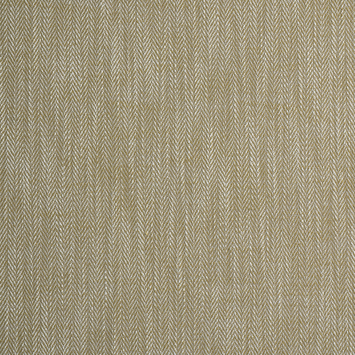 Ashley Wilde Aubrey Ochre