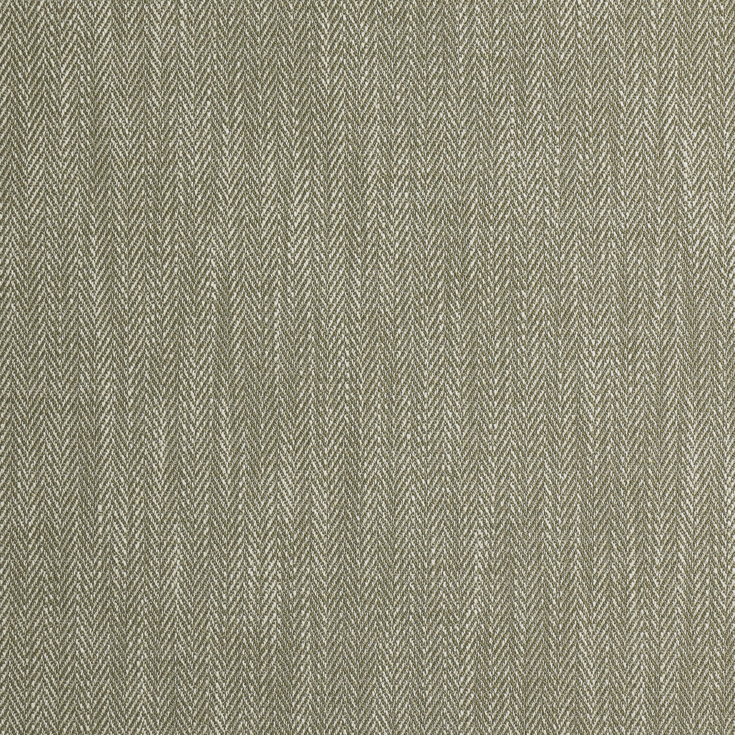 Ashley Wilde Aubrey Olive